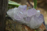 Natural Jacaranda Amethyst Clusters  x 3 From Mumbwa, Zambia - Toprock Gemstones and Minerals 