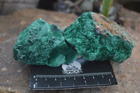 Natural Large Chatoyant Silky Malachite Specimens  x 4 From Kasompe, Congo - Toprock Gemstones and Minerals 