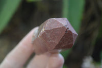 Natural Red Hematoid Quartz Specimens x 12 From Karoi, Zimbabwe