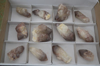 Natural Red Hematoid Quartz Specimens x 12 From Karoi, Zimbabwe - TopRock