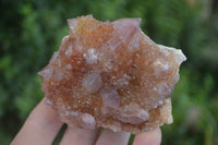 Natural Spirit Amethyst Quartz Clusters  x 6 From Boekenhouthoek, South Africa - Toprock Gemstones and Minerals 