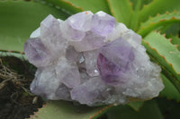 Natural Jacaranda Amethyst Clusters  x 2 From Zambia - Toprock Gemstones and Minerals 