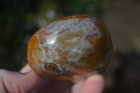 Polished River Agate Free Forms  x 6 From Sashe River, Zimbabwe - Toprock Gemstones and Minerals 