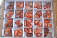 Polished  Carnelian Agate Tumble Stones  x 56 From Madagascar