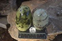 Polished Spotted Leopard Stone Standing Free Forms  x 6 From Zimbabwe - Toprock Gemstones and Minerals 