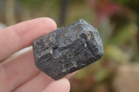 Natural Schorl Black Tourmaline Crystals  x 35 From Zimbabwe - TopRock