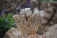 Natural Cascading White Phantom Smokey Quartz Clusters  x 6 From Luena, Congo - Toprock Gemstones and Minerals 