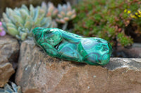 Polished Malachite Free Forms With Stunning Flower & Banding Patterns x 3 From Congo - TopRock