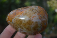 Polished River Agate Free Forms  x 6 From Sashe River, Zimbabwe - Toprock Gemstones and Minerals 