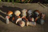 Polished Mini Polychrome / Picasso Jasper Mushrooms  x 20 From Madagascar