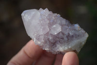 Natural Spirit Amethyst Quartz Specimens x 12 From Boekenhouthoek, South Africa