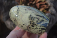 Polished Spotted Leopard Stone Standing Free Forms  x 6 From Zimbabwe - Toprock Gemstones and Minerals 