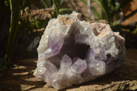 Natural Extra Large Jacaranda Amethyst Vug Specimen  x 1 From Mumbwa, Zambia - TopRock