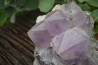 Natural Jacaranda Amethyst Cluster x 1 From Mumbwa, Zambia - TopRock