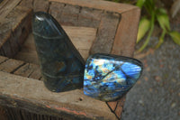 Polished Flashy Labradorite Standing Free Forms  x 2 From Tulear, Madagascar - Toprock Gemstones and Minerals 