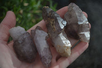 Natural Smokey Skeletal Amethyst Crystals  x 12 From Chiredzi, Zimbabwe