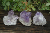 Natural Jacaranda Amethyst Clusters  x 3 From Mumbwa, Zambia - Toprock Gemstones and Minerals 