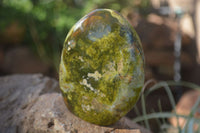 Polished Green Opal Standing Free Forms  x 6 From Antsirabe, Madagascar - Toprock Gemstones and Minerals 