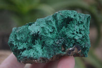 Natural Large Chatoyant Silky Malachite Specimens  x 4 From Kasompe, Congo - Toprock Gemstones and Minerals 