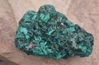 Natural Large Chatoyant Silky Malachite Specimens  x 4 From Kasompe, Congo - Toprock Gemstones and Minerals 