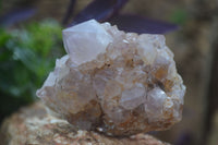 Natural Spirit Amethyst Quartz Clusters  x 6 From Boekenhouthoek, South Africa - Toprock Gemstones and Minerals 