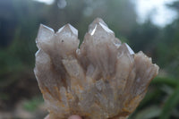 Natural Cascading White Phantom Smokey Quartz Clusters  x 6 From Luena, Congo - Toprock Gemstones and Minerals 