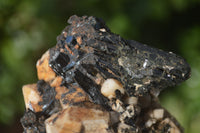 Natural Aegirine With Schorl Specimens  x 4 From Malawi