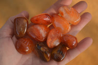 Polished  Carnelian Agate Tumble Stones  x 56 From Madagascar