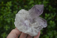 Natural Jacaranda Amethyst Clusters  x 3 From Mumbwa, Zambia - Toprock Gemstones and Minerals 