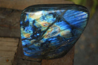 Polished Flashy Labradorite Standing Free Forms  x 2 From Tulear, Madagascar - Toprock Gemstones and Minerals 