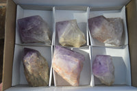 Polished Large Jacaranda Amethyst Crystals x 6 From Zambia