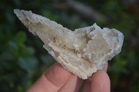 Natural Drusy Quartz Coated Calcite Crystals  x 12 From Alberts Mountain, Lesotho - Toprock Gemstones and Minerals 