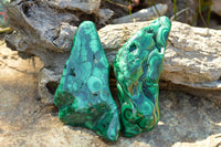 Polished Malachite Free Forms With Stunning Flower & Banding Patterns x 3 From Congo - TopRock