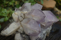 Natural Jacaranda Amethyst Cluster x 1 From Mumbwa, Zambia - TopRock