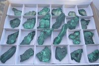 Polished Small Flower Banded Malachite Slices  x 24 From Congo - Toprock Gemstones and Minerals 