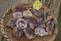 Natural Amethyst & Crystal Centred Geodes  x 24 From Zululand, South Africa - TopRock