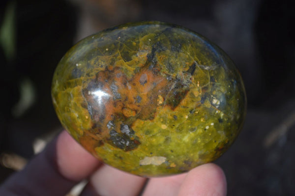 Polished Green Opal Galet / Palm Stones x 12 From Antsirabe, Madagascar