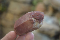 Natural Red Hematoid Quartz Specimens x 12 From Karoi, Zimbabwe