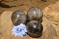 Polished Morion Smokey Quartz Spheres x 3 From Madagascar - TopRock