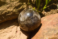 Polished Morion Smokey Quartz Spheres x 3 From Madagascar - TopRock