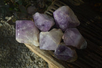 Polished Large Jacaranda Amethyst Crystals x 6 From Zambia