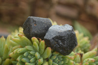 Natural Schorl Black Tourmaline Crystals  x 35 From Zimbabwe - TopRock