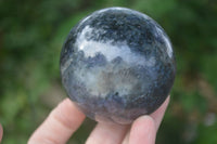 Polished Rare Iolite / Water Sapphire Spheres  x 2 From Madagascar - Toprock Gemstones and Minerals 