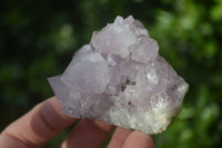 Natural Spirit Amethyst Quartz Specimens x 12 From Boekenhouthoek, South Africa