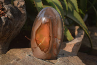 Polished Polychrome Jasper Standing Free Form  x 1 From Madagascar