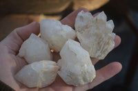 Natural "Cathedral Window" Terminated Candle Quartz Formations  x 14 From Madagascar - Toprock Gemstones and Minerals 