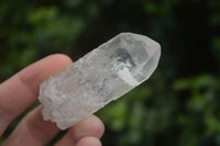 Natural Single Clear Quartz Crystals  x 35 From Madagascar - Toprock Gemstones and Minerals 