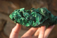 Natural Chatoyant Silky Malachite Specimens  x 2 From Kasompe, Congo