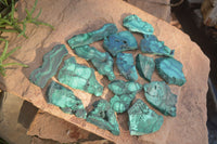 Polished Small Flower Banded Malachite Slices  x 24 From Congo - Toprock Gemstones and Minerals 