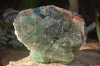 Natural Stepped Green Fluorite Specimen  x 1 From Uis, Namibia